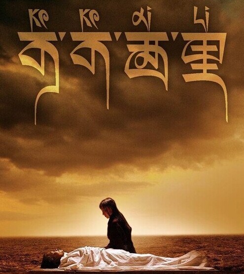 高仿药师资格证